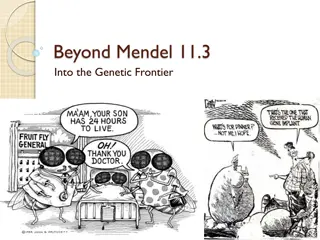 Genetic Inheritance Patterns and Human Blood Types