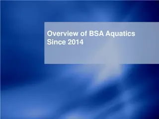 Evolution of BSA Aquatics Programs Since 2014