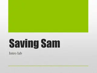 Saving Sam: A Fun Team Challenge in Problem Solving