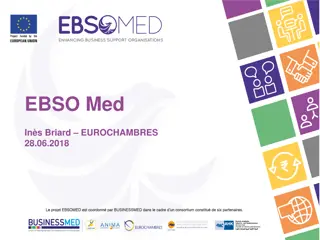 Enhancing European Business Support Organizations (EBSO) and EuroChambers Initiatives