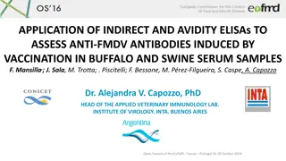 Application of Indirect and Avidity ELISAs for Anti-FMDV Antibody Assessment in Buffalo and Swine Serum Samples