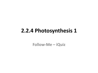 Understanding Photosynthesis: Light-dependent Stage Quiz