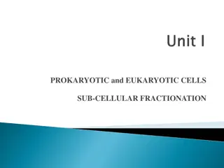 Prokaryotic and Eukaryotic Cells: A Comparative Overview