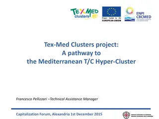 TEX-MED Clusters Project: A Pathway to the Mediterranean