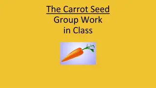 Interactive Storytelling: The Carrot Seed Group Work in Class