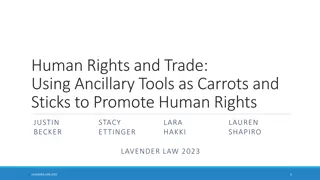 Using Ancillary Tools to Promote Human Rights in Trade