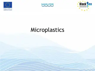 Microplastics: Impact on Marine Ecosystems