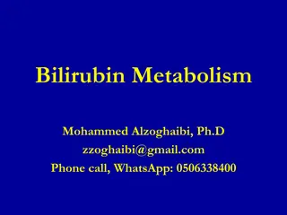 Bilirubin Metabolism in Human Body