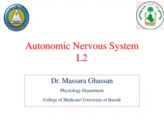 The Autonomic Nervous System Functions and Effects