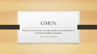 Understanding GMOs: Risks, Benefits, and Production Methods