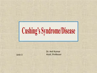 Cushing Disease in Dogs and Cats