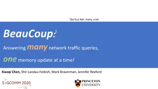 Efficient Network Traffic Queries Handling Strategies