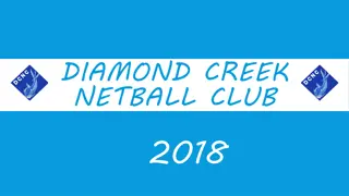 Diamond Creek Netball Club 2018 Plan Overview