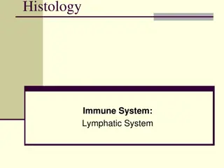 The Lymphatic System and Immune Response