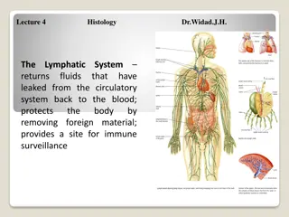 Overview of the Lymphatic System and Immune Response