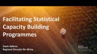 Facilitating Statistical Capacity Building Programmes in Africa