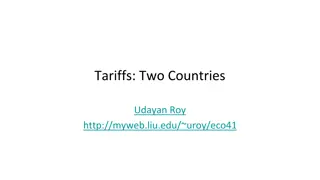 The Impact of Tariffs: Analysis in Two Countries