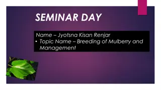 Breeding of Mulberry and Management - Seminar Day with Jyotsna Kisan Renjar