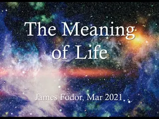 Exploring Philosophical Perspectives on the Meaning of Life