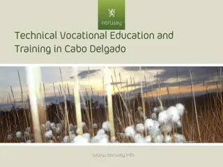 Opportunities in Vocational Education and Training in Cabo Delgado