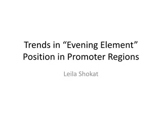 Biologically Important Evening Element in Promoter Regions: Insights from Research by Leila Shokat