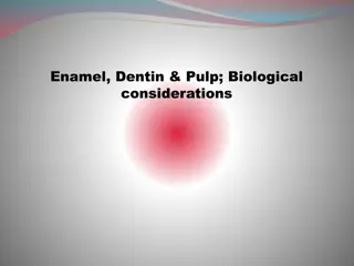 Understanding Enamel: Structure, Formation, and Properties