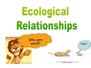 Ecological Relationships: Who Eats Who in Nature!