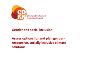 Gender and Social Inclusion in Climate Solutions Assessment