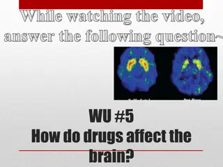 The Impact of Drug Use on Behavior and Health