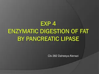 Enzymatic Digestion of Fat by Pancreatic Lipase