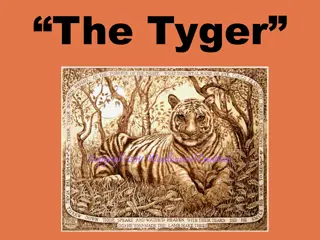 Analyzing William Blake's Poem 'The Tyger'