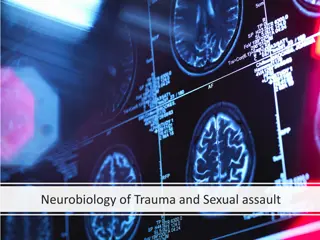 Understanding Trauma and Its Effects on the Brain