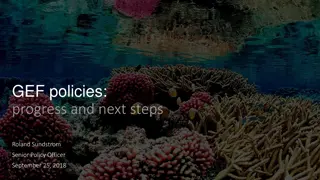 GEF Policies Progress and Next Steps Overview