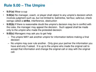 Umpire Guidelines and Best Practices for Making Calls