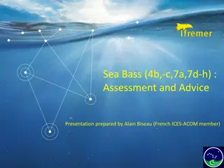 Sea Bass Assessment and Advice Presentation by Alain Biseau