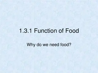 Understanding the Essential Functions of Food in Our Body