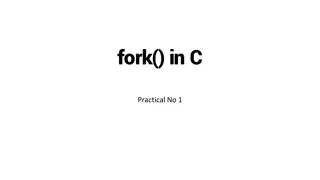 fork() System Call in C Programming