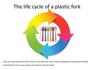 Exploring Various Life Cycles: Plastic Fork, Polystyrene Plate, Mobile Phone, Coffee Cup