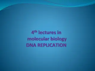 DNA Replication Process in Living Organisms