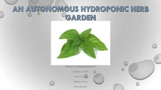 Autonomous Hydroponic Herb Garden Group 6 Overview