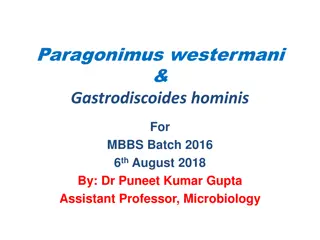 Understanding Paragonimus westermani and Gastrodiscoides hominis Infections