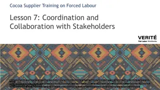 Effective Collaboration Strategies to Combat Forced Labour in Cocoa Supply Chains