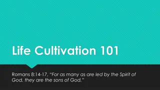 Spirit of God in Life Cultivation