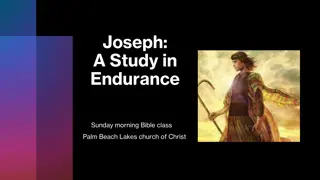 Exploring Endurance: Lessons from Biblical Stories to Extraordinary Feats