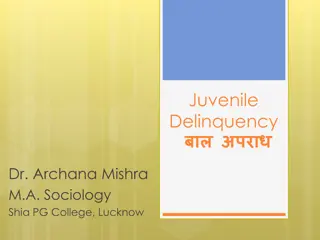 Juvenile Delinquency: Causes, Incidence, and Prevention Measures