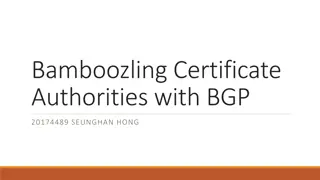 Securing Domain Control with BGP Attacks and Digital Certificates