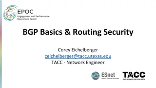 BGP Basics and Routing Security