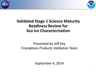 Overview of Sea Ice Characterization and Validation Process