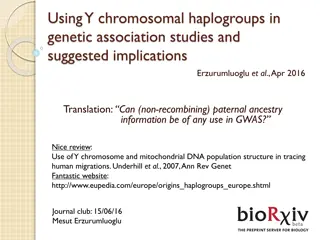 Understanding Y Chromosomal Haplogroups in Genetic Studies