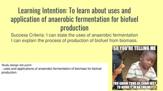 Anaerobic Fermentation for Biofuel Production: Uses and Applications